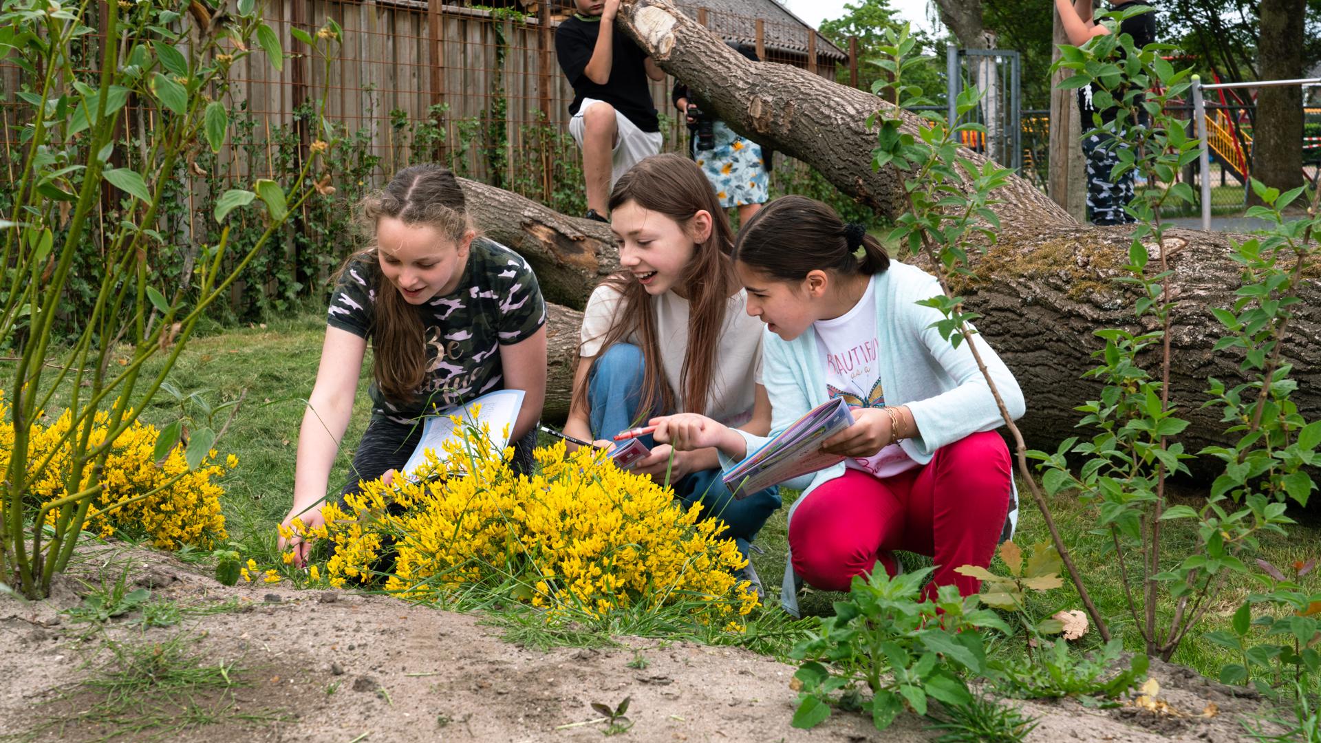 Informatiebijeenkomst cursus: kennismaken met groene pleinen en buurten