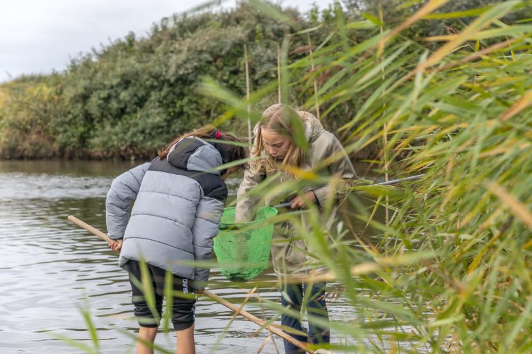 Twee kinderen vangen iets in een net bij een rivier, omringd door groene begroeiing.