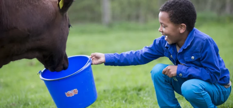 Kind voedt koe met blauwe emmer op grasveld, beiden zijn vrolijk.