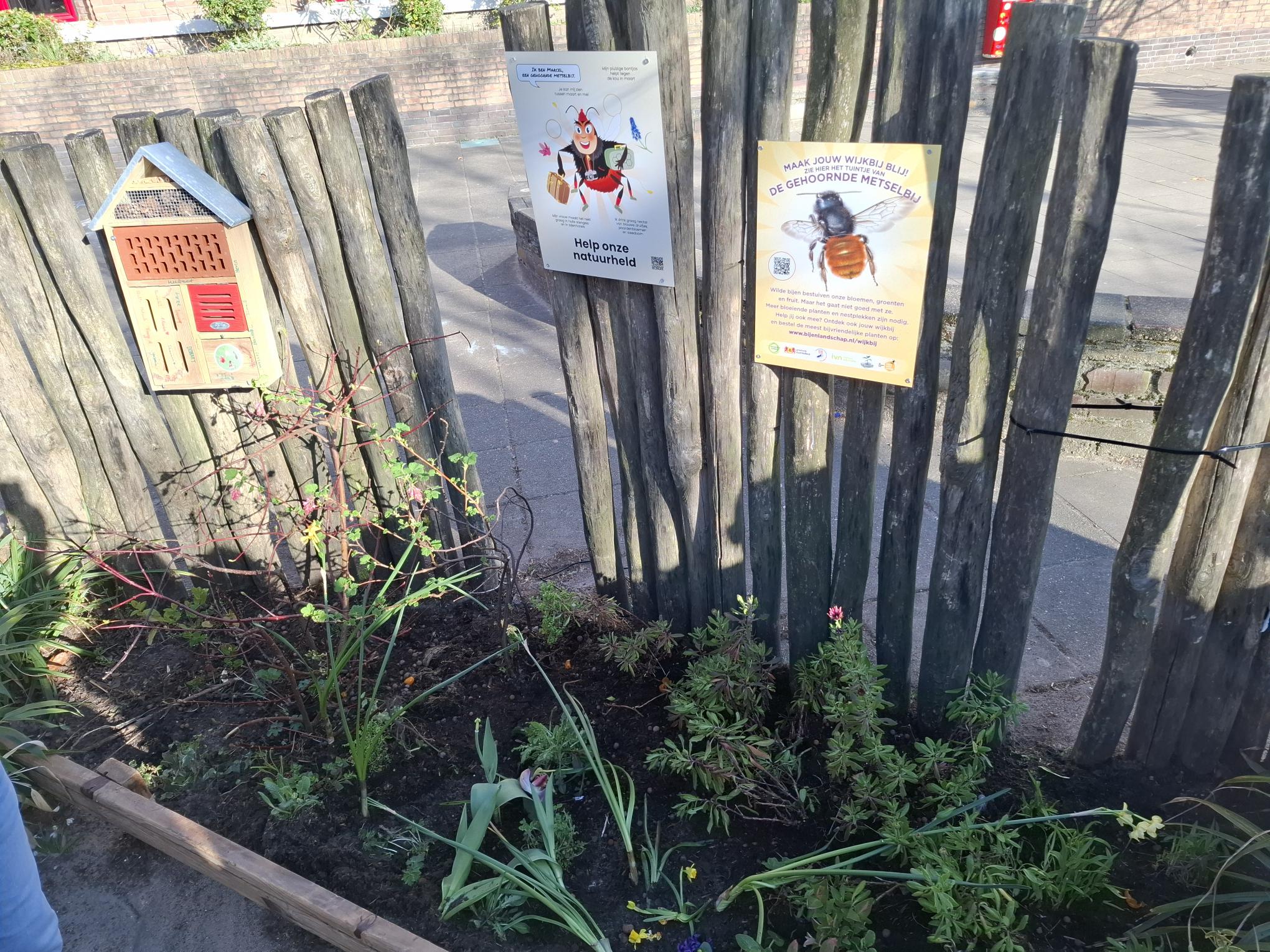 Tuin met houten hek, insectenhotel en posters over bijen, met planten op de voorgrond.