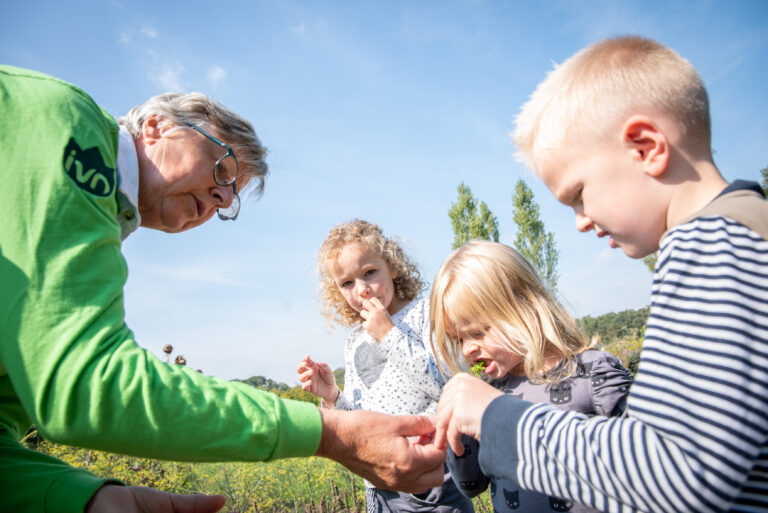 Ouder persoon leert drie kinderen over planten in een zonnige tuin.