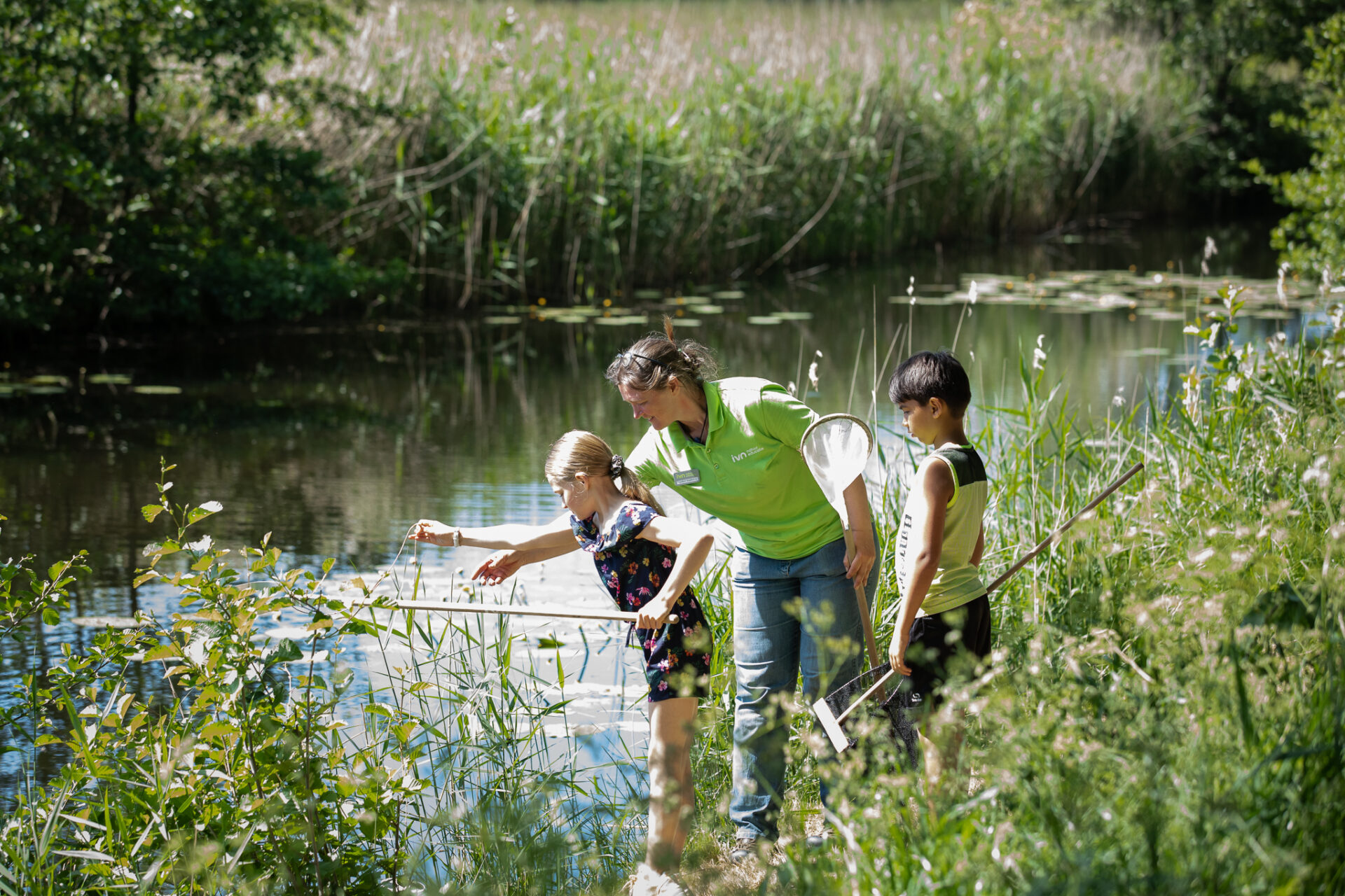 Een volwassene en twee kinderen onderzoeken water bij een vijver met schepnetten tussen het groen.