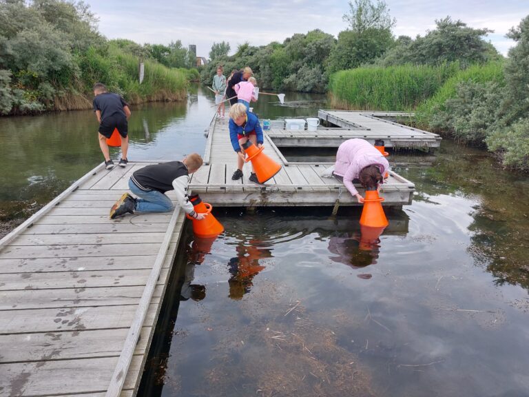 grevelingen tiny sea forest