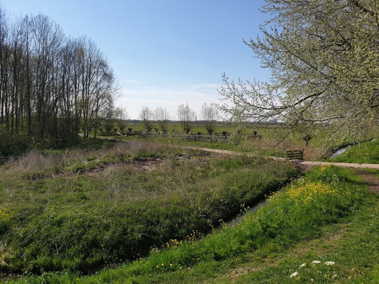 ackerdijkse plassen