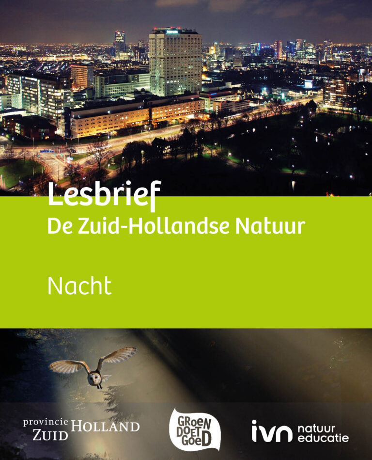 Nachtzicht van een stad met tekst 