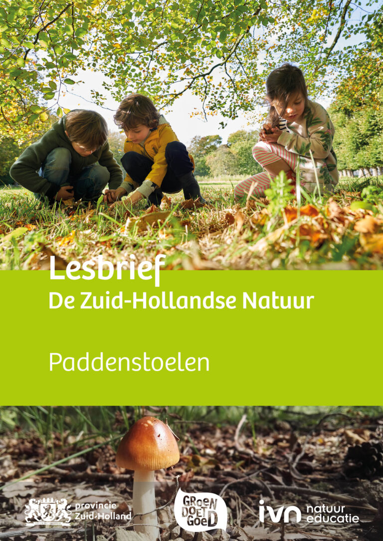 Drie kinderen onderzoeken paddenstoelen in een bos; tekst: 