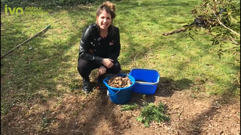 Vrouw hurkt in grasveld, met bladeren in een blauwe emmer naast haar, zonovergoten park.