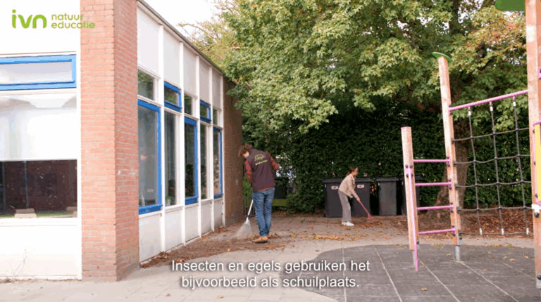 Twee mensen vegen bladeren naast een gebouw; tekst over schuilplaatsen voor insecten en egels.
