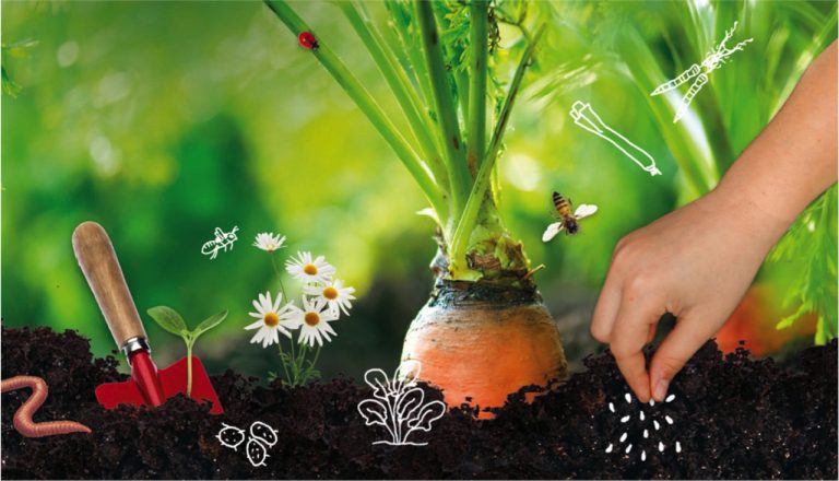 Word moestuincoach in de provincie Drenthe