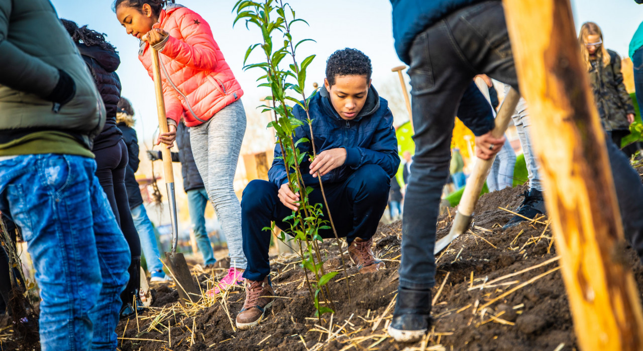 3 nieuwe Tiny Forests in Hoogeveen