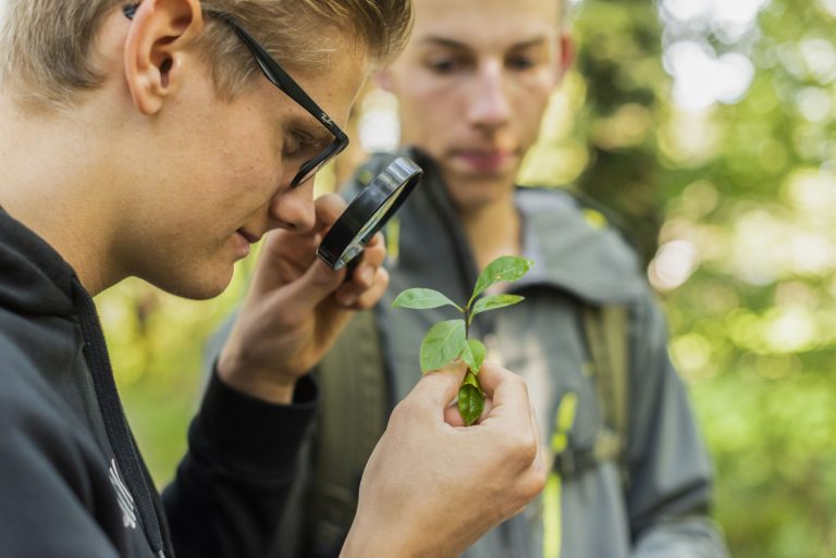Twee jongens inspecteren een plant met een loep in een bosomgeving.