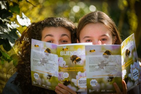 Leerlingen van KC De Vuursteen in Wapserveen maken bijenparadijs