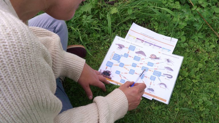 Persoon bestudeert een diagram met bodemdiersoorten op gras.