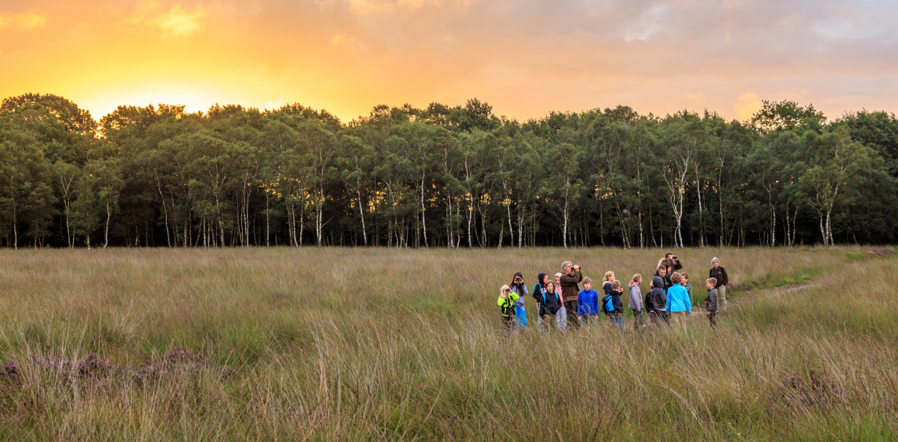 Een groep mensen wandelt op een grasvlakte bij zonsondergang, omringd door bomen.