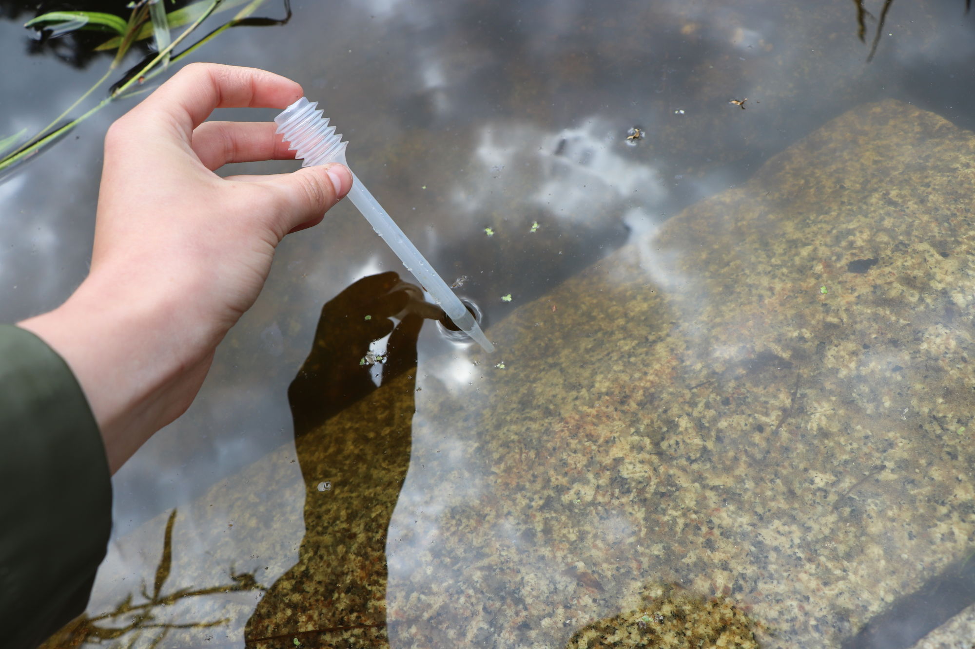 Hand met pipet neemt watermonster uit een heldere plas.