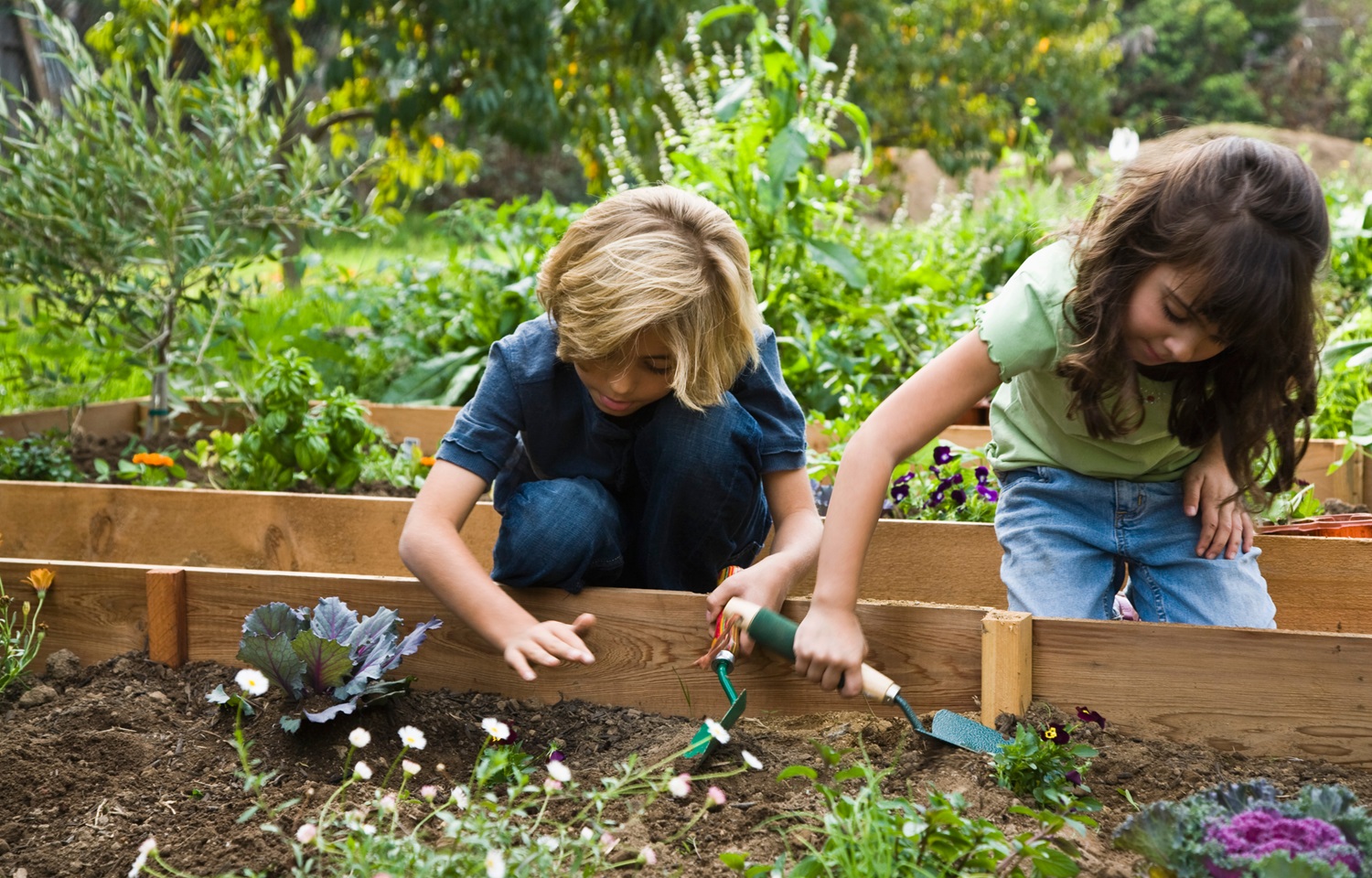 Twee kinderen tuinieren samen in een verhoogde plantenbak met groene planten op de achtergrond.