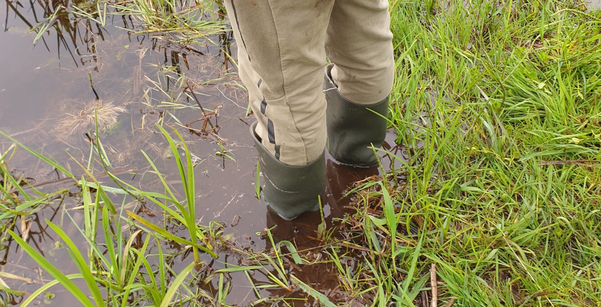 Iemand staat in rubberlaarzen in een modderige plas omringd door gras.
