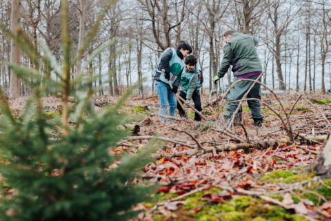 Drie mensen planten bomen in een bos, met een focus op natuurbehoud.