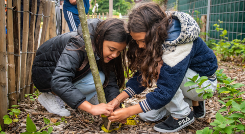 IVN Voedselbosjes meisjes planten boom