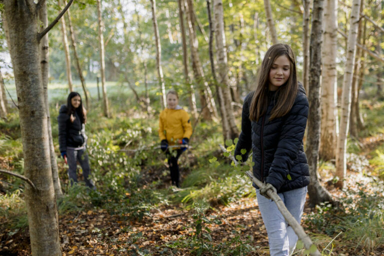 Drie kinderen verzamelen takken in een zonnig bos met herfstbladeren.