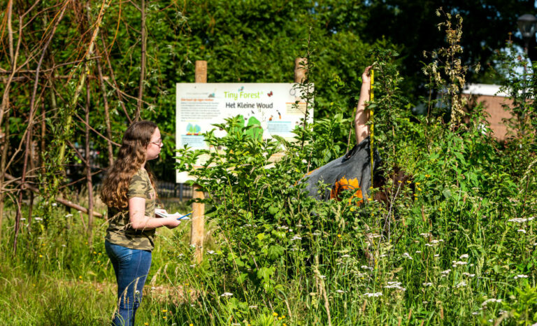Meisje observeert planten in een groen Tiny Forest met een infobord op de achtergrond.