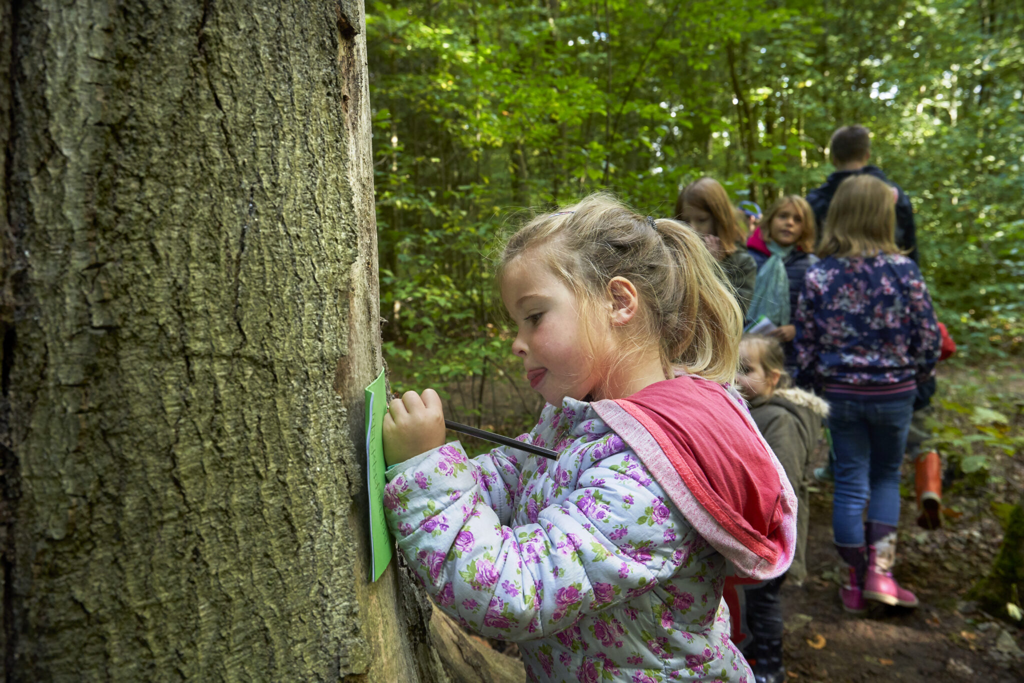 Een kind schrijft op een papier vastgemaakt aan een boom in een bosomgeving met andere kinderen.