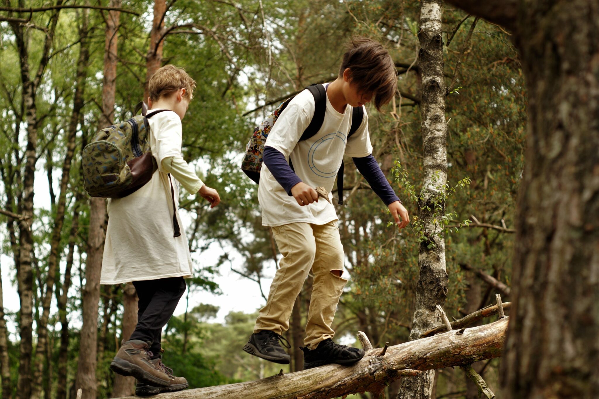 Kinderen balanceren op een omgevallen boomstam in een bosrijke omgeving.