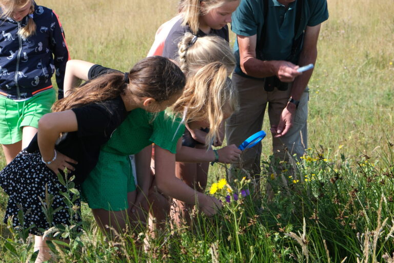 Kinderen en een volwassene observeren planten met vergrootglazen in een veld vol bloemen.