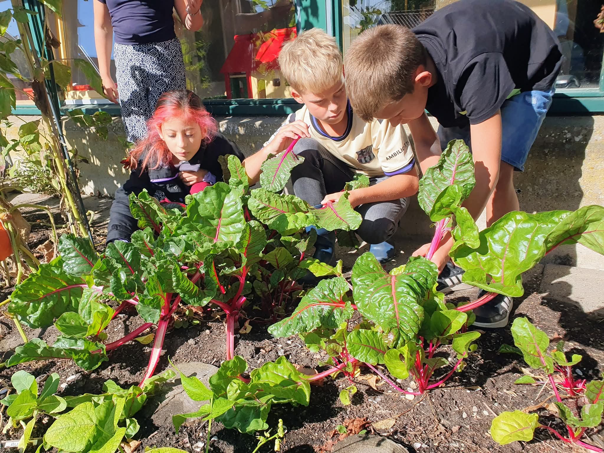 Kinderen inspecteren bladeren in een tuin tijdens een zonnige dag.