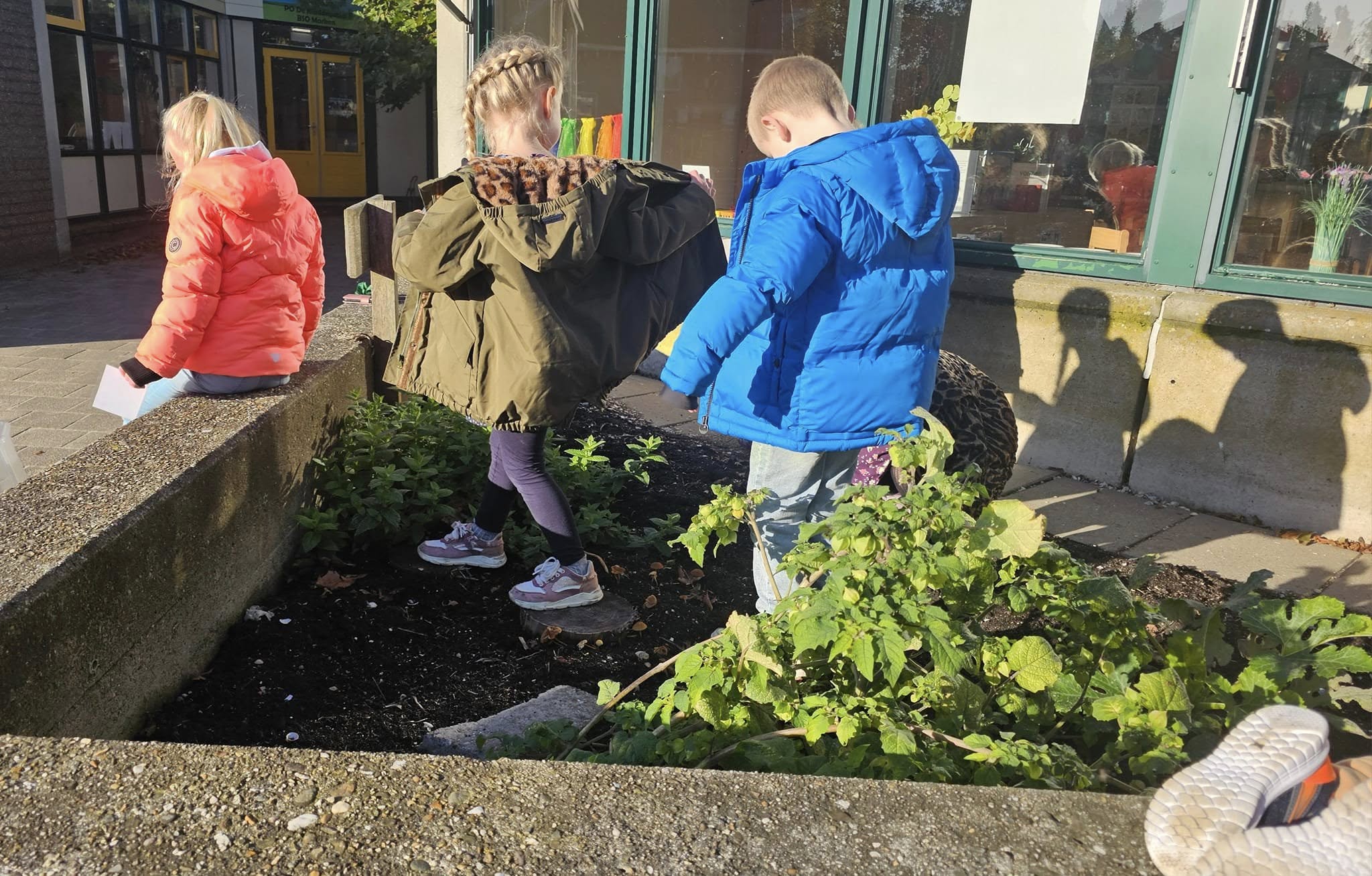 Kinderen in winterjassen spelen buiten bij een schooltuin met groenhoge planten.