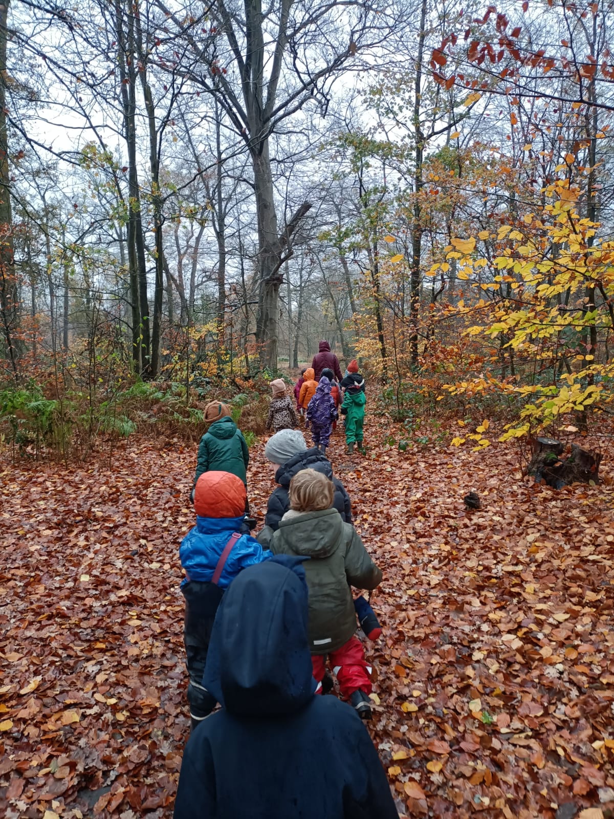 Kinderen wandelen in een herfstbos met gevallen bladeren op de grond.