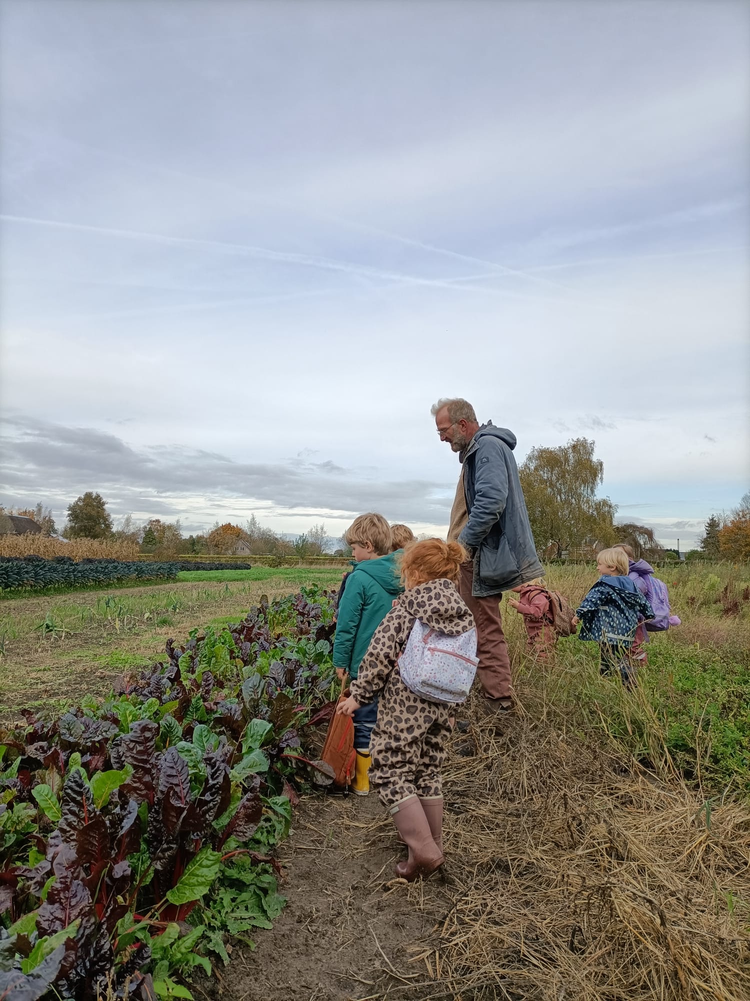 Volwassene en kinderen bekijken gewassen op een boerderij onder een bewolkte hemel.