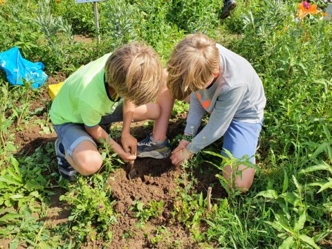 Twee kinderen graven in aarde omgeven door groene planten.