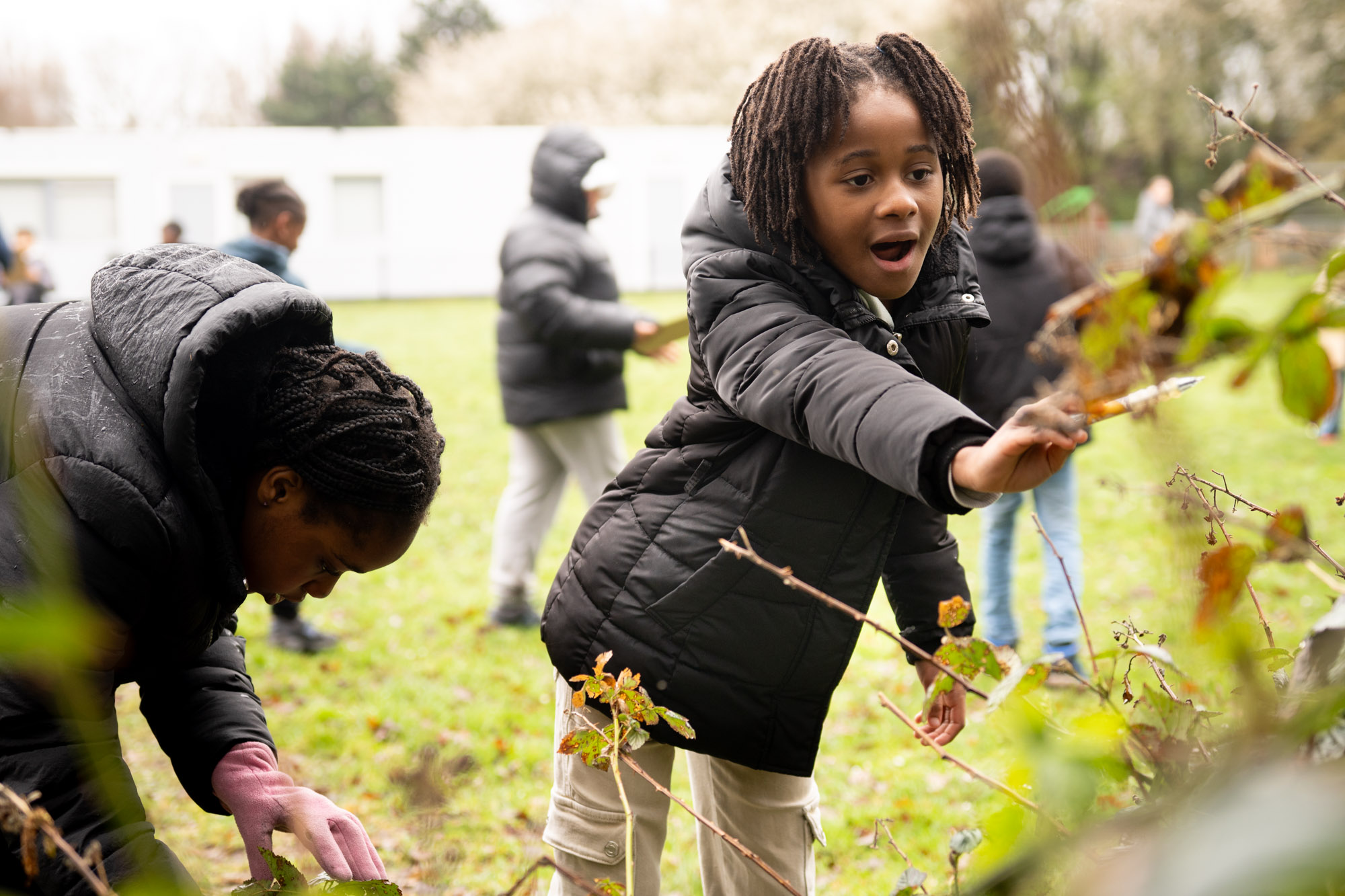 Kinderen snoeien struiken in een tuin op een koude dag.