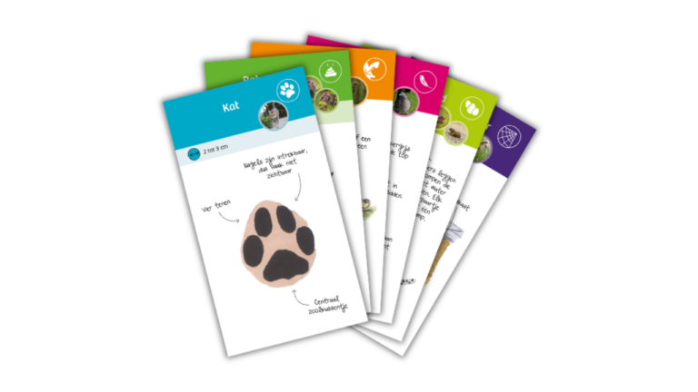 Stapeltje geïllustreerde kaarten met dierenpootafdrukken, waaronder die van een kat.