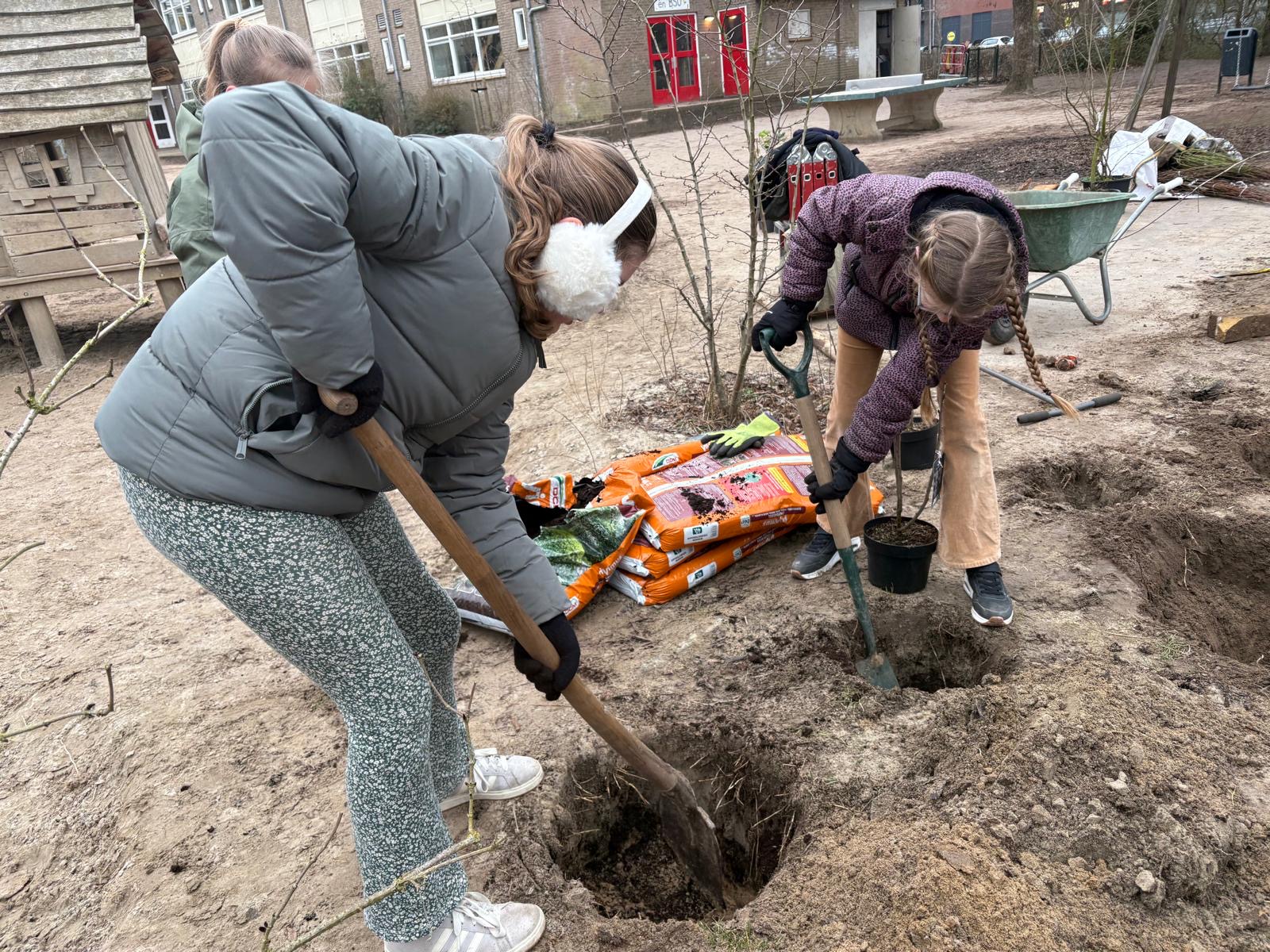 Twee mensen planten bomen in een tuin, met een schep en potgrond zakken.