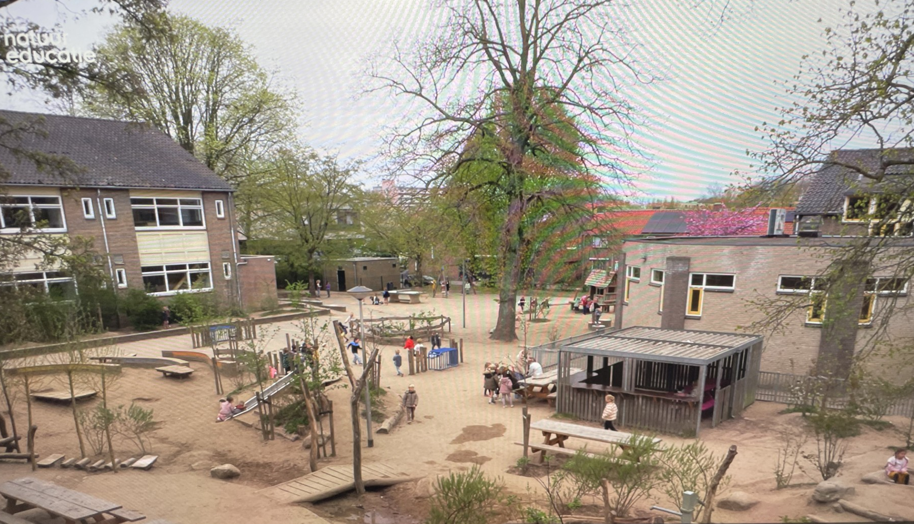 Schoolplein met spelende kinderen, klimbomen, schommels en gebouwen omgeven door groen.