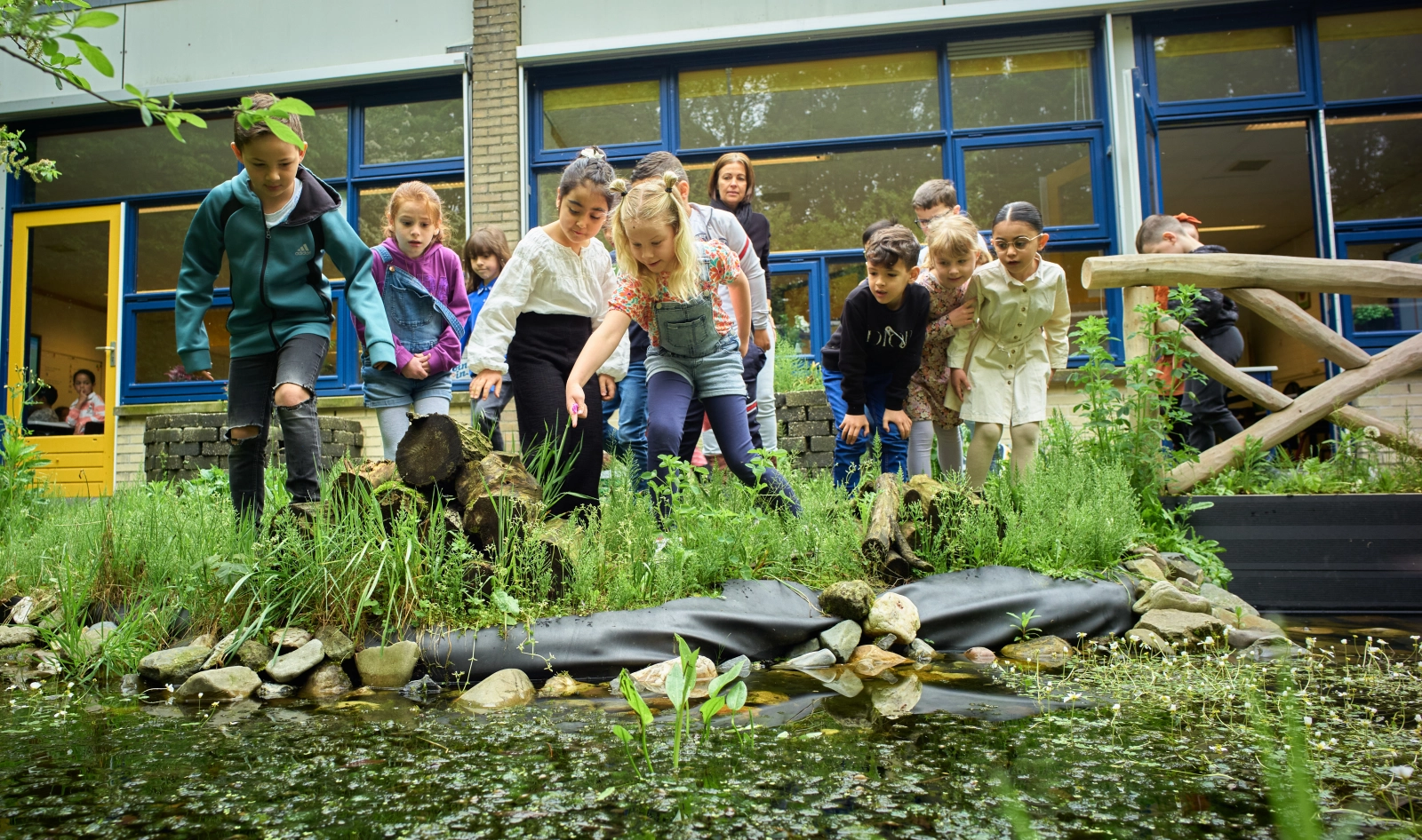 Kinderen kijken naar een vijver in een schooltuin; leraren en klaslokaal op de achtergrond.