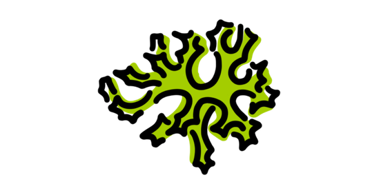 Groen boomachtig embleem met grillige takken op een zwarte achtergrond.