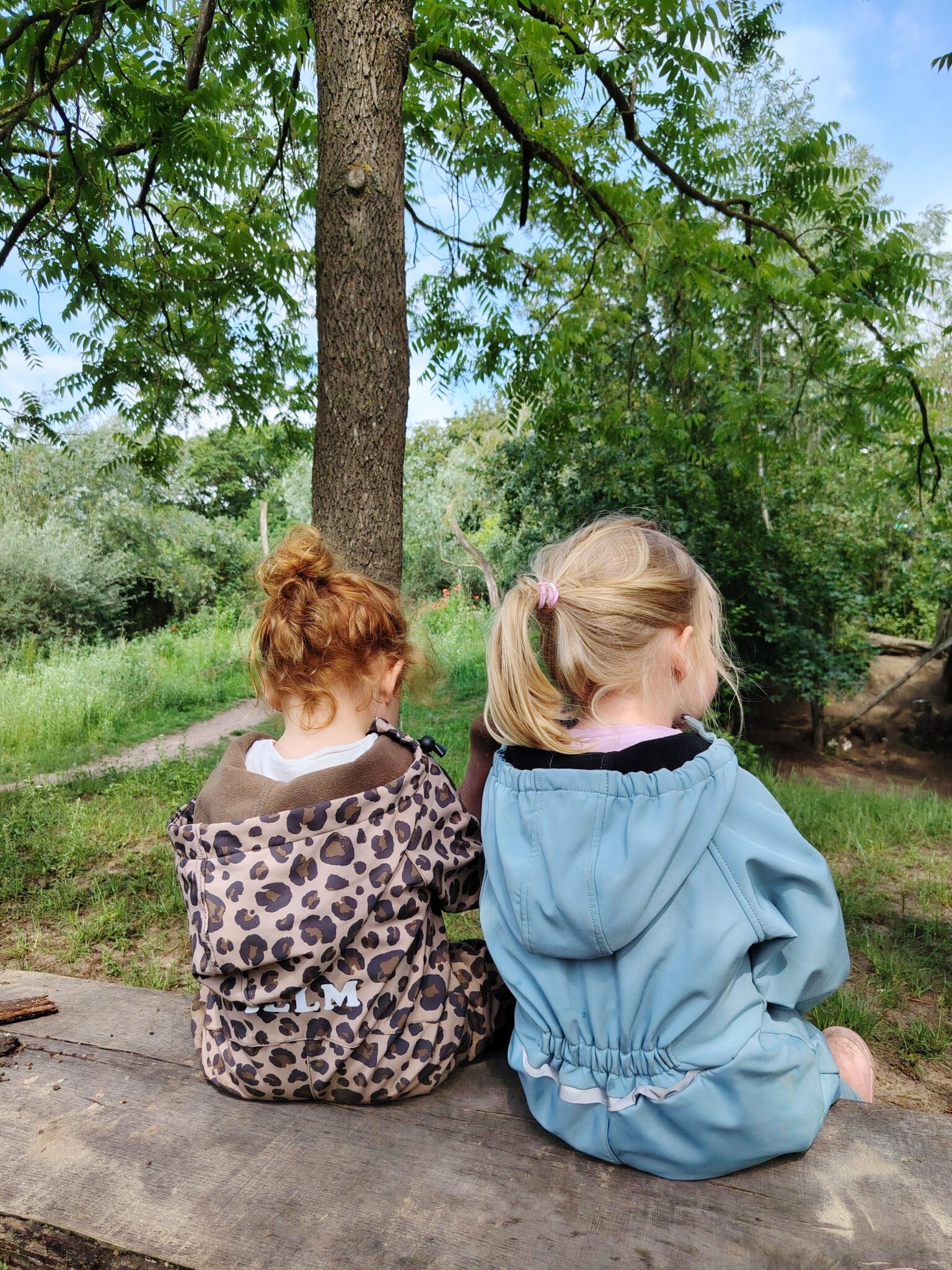 Twee kinderen zitten op een boomstam in een bos, gekleed in kleurige jassen.