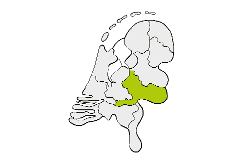 Kaart van Nederland met de provincie Gelderland in het groen gemarkeerd.