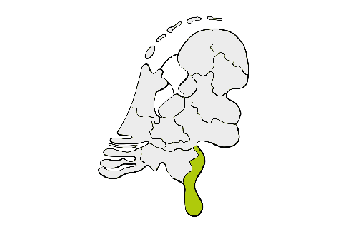 Contourtekening van Nederland; Limburg is groen gekleurd.