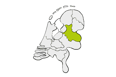 Kaart van Nederland met Midden-Nederland groen gemarkeerd.