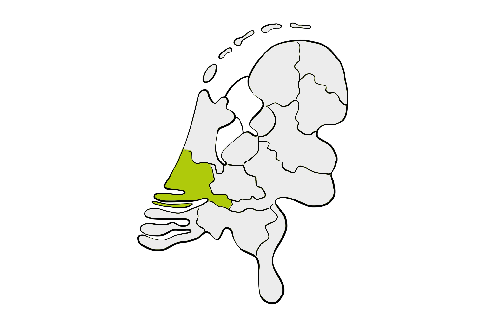 Kaart van Nederland met Zuid-Holland in het groen gemarkeerd.