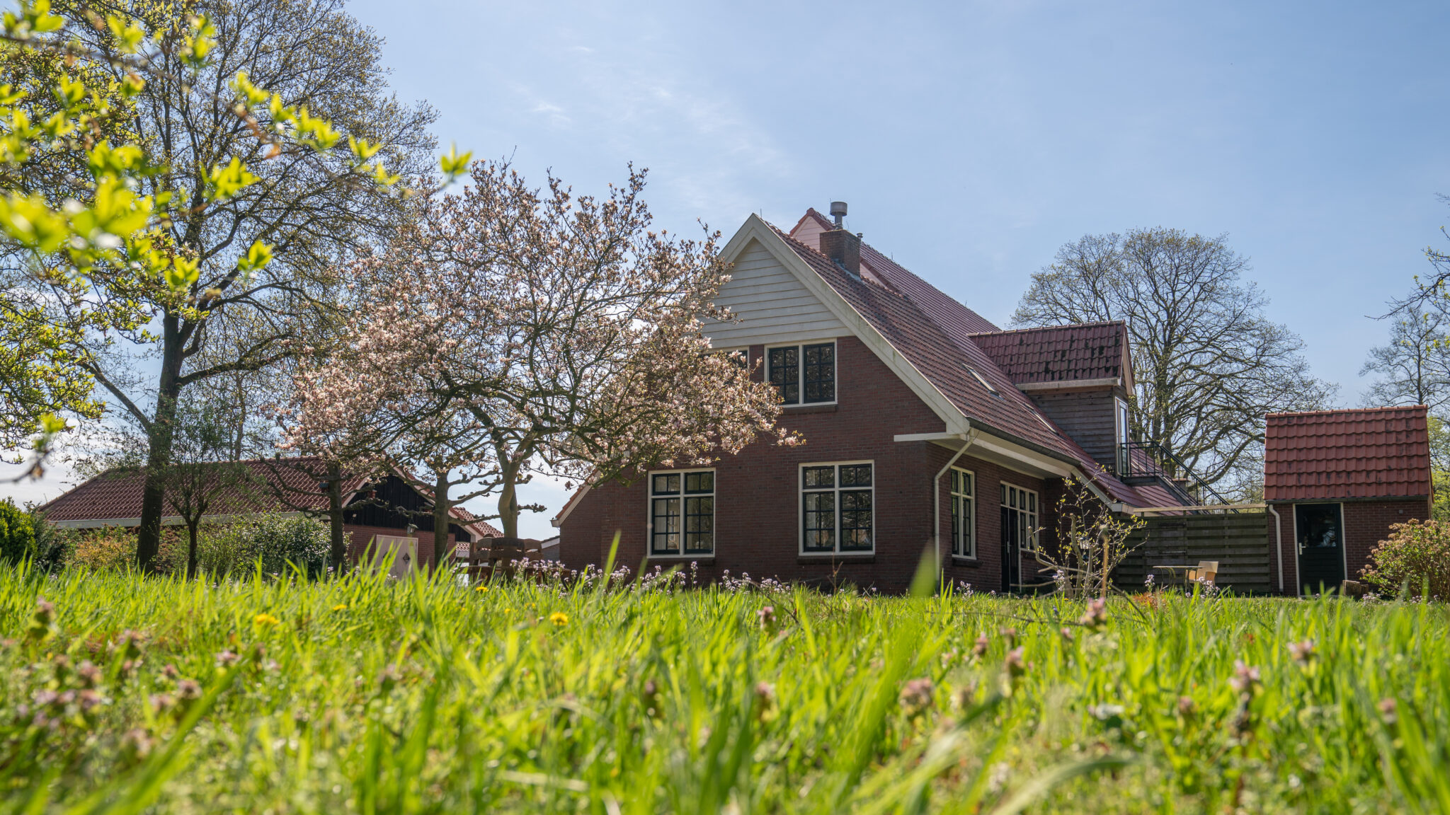 Bakstenen huis met puntdak in groene tuin, omringd door bloeiende bomen.