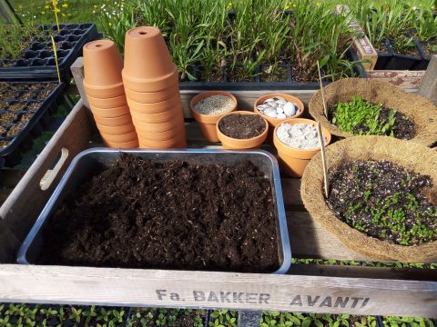 De moestuinier zilt moestuinieren