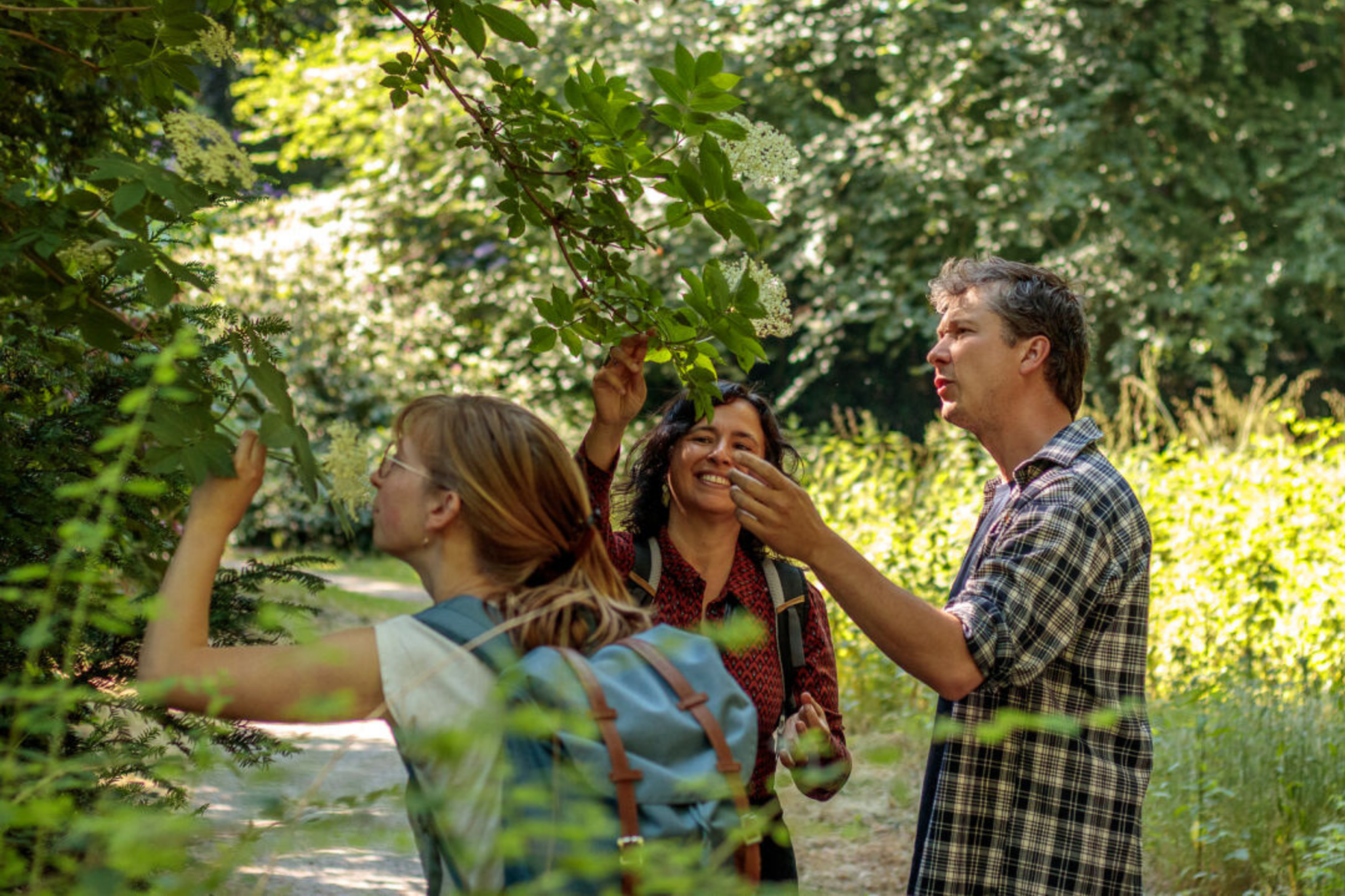 Drie mensen onderzoeken bladeren op een zonnig bospad.