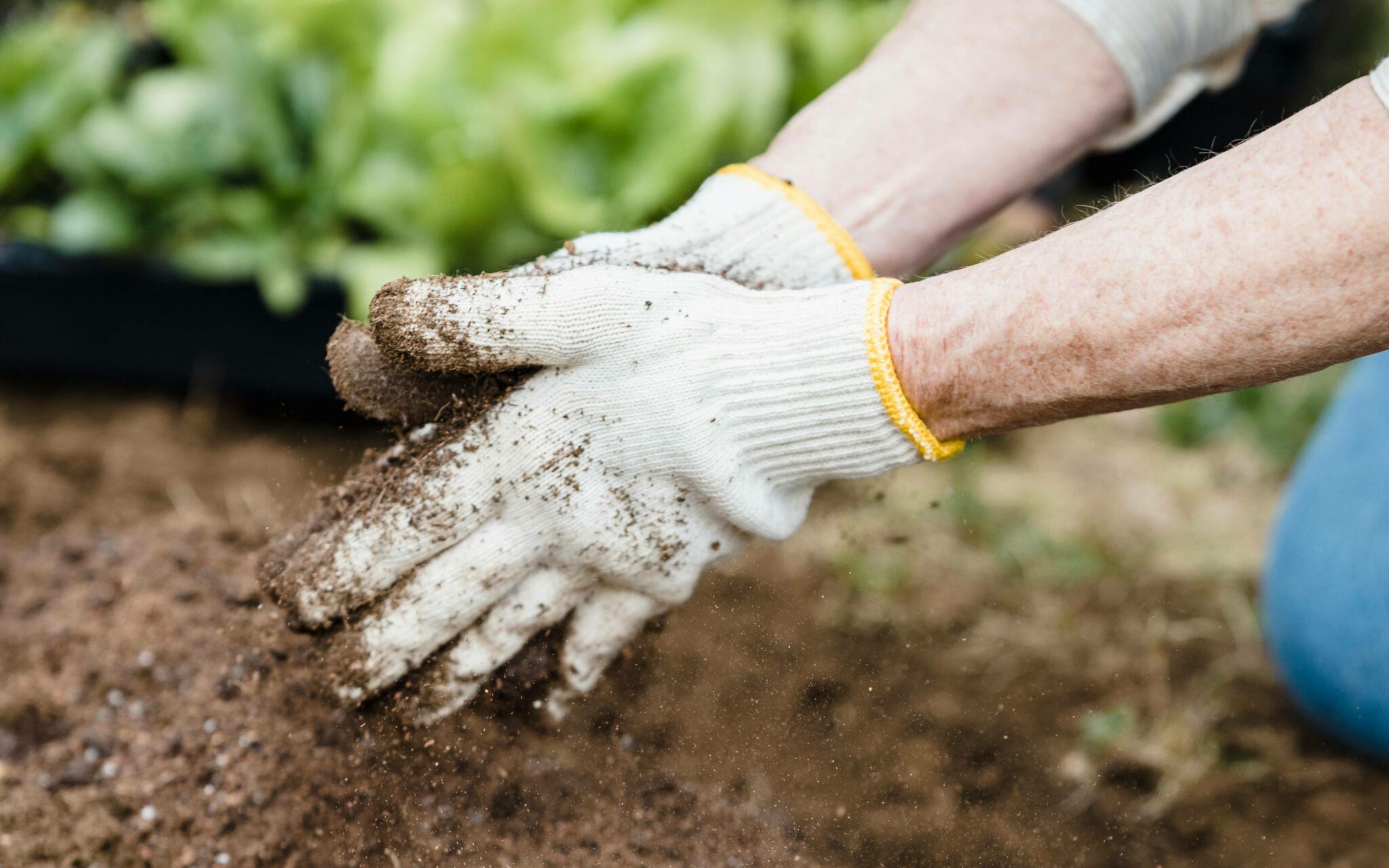 Twee handen met handschoenen vormen aarde in een tuin. Groene planten op de achtergrond.