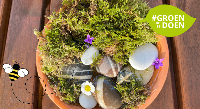 Onderbord met mos, stenen, paarse bloemen en margriet op houten tafel, hashtag 