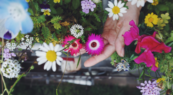 Hand tussen kleurrijke bloemen, waaronder madeliefjes en roze bloemen, boven een achtergrond van groen.